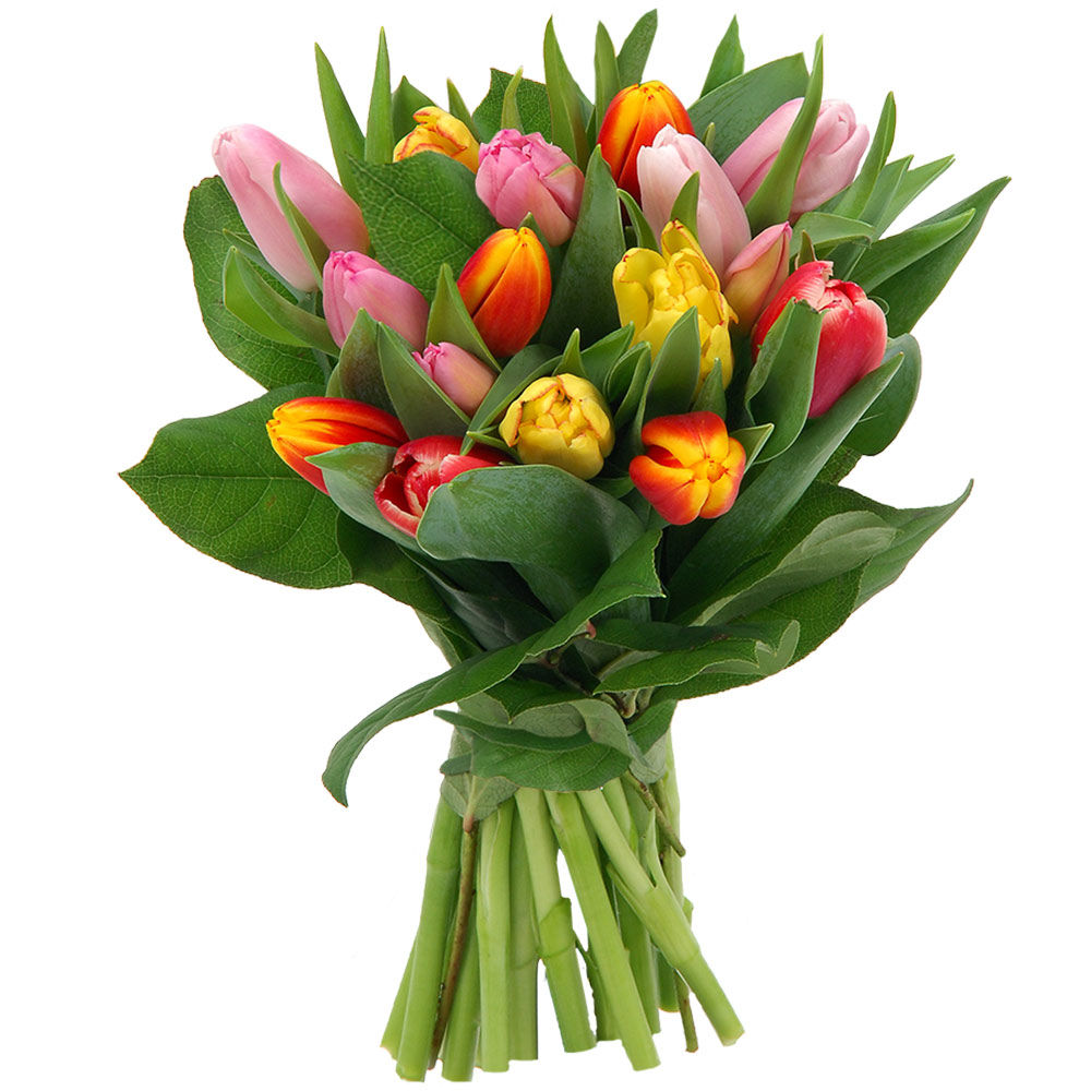 Bouquet De Tulipe Prix