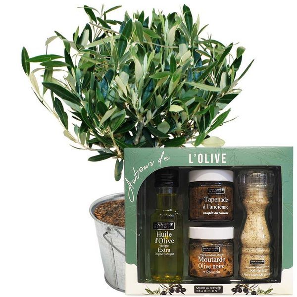 Fleurs et cadeaux OLIVIER + AUTOUR DE L'OLIVE