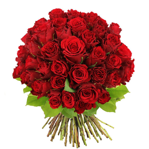 Roses & Chocolate Heart - Livraison de cadeaux aux EAU - Achetez