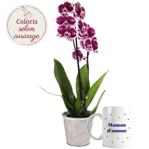 Cadeaux insolites ORCHIDEE 2 BRANCHES + MUG MAMAN D'AMOUR