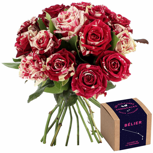 Fleurs et cadeaux 15 ROSES ARLEQUIN + KIT BÉLIER