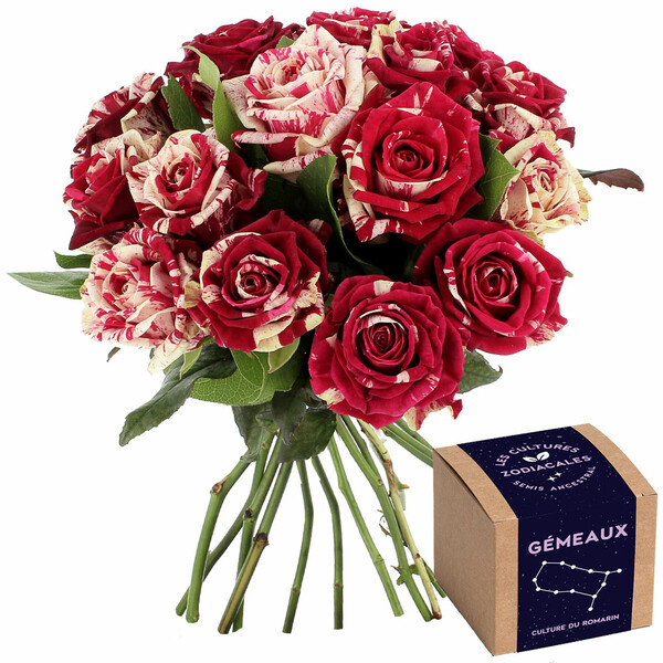 Fleurs et cadeaux 15 ROSES ARLEQUIN + KIT GÉMEAUX